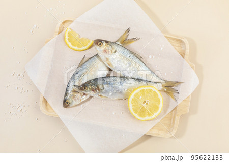 salt and gizzard shad fish salt and gizzard shad fish 95622133