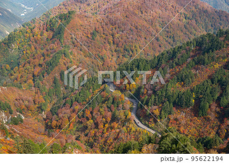紅葉の山の道路 95622194