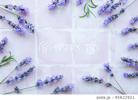 Lavender flowers and leaves creative frame on a pink tile background 95622931