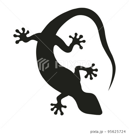Tokay gekko silhouette on white background. Black hand drawn vector art of a gekko. Illustration of a lizard Tokay gekko silhouette on white background. Black hand drawn vector art of a gekko. Illustration of a lizard 95625724