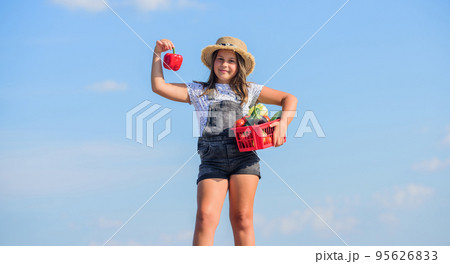 Harvest season. Child carry harvest. Buy organic food. Sunny day at farm. Vegetables in basket. Little helper concept. Ripe veggies. Family farm. Girl adorable child farming. Kid work at farm Harvest season. Child carry harvest. Buy organic food. Sunny day at farm. Vegetables in basket. Little helper concept. Ripe veggies. Family farm. Girl adorable child farming. Kid work at farm 95626833