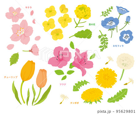 春の花イラスト集 春の花イラスト集 95629801