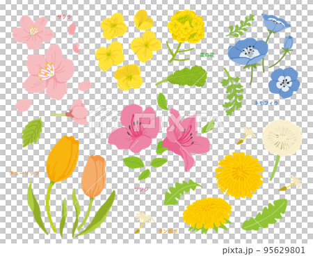 春の花イラスト集 春の花イラスト集 95629801