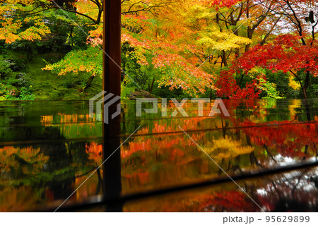 雨の瑠璃光院　臥竜の庭と板間のリフレクション 95629899