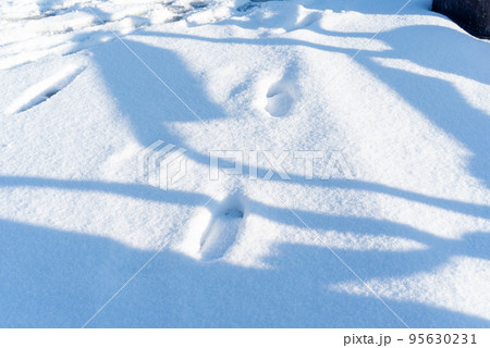 冬イメージ　雪に残る誰かの足跡 95630231