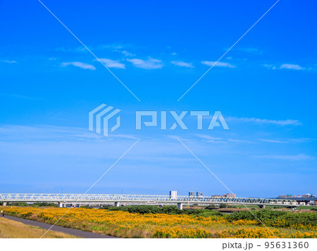 墨田区江戸川区荒川堤からの10月の青空景色 墨田区江戸川区荒川堤からの10月の青空景色 95631360