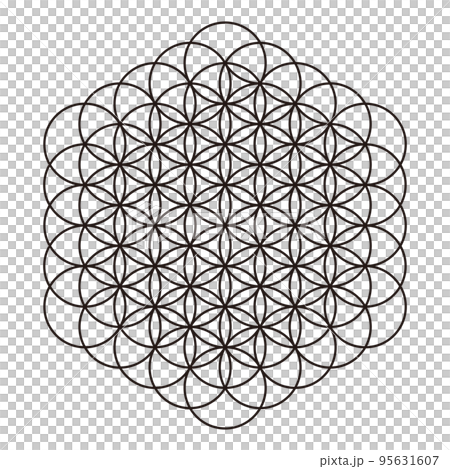 神聖幾何生命之花，擴展生命之花，包括環繞圓圈 95631607