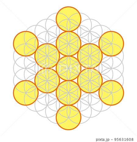 生命の果実、神聖幾何学フラワーオブライフの上に描かれたフルーツオブライフのイラスト素材 [95631608] - PIXTA