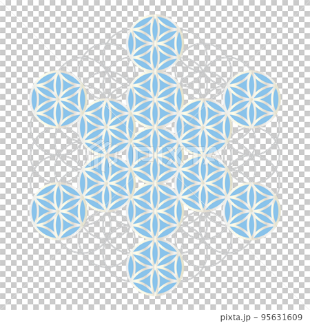 生命之果,在神聖幾何生命之花上畫的雪花 生命之果,在神聖幾何生命之花上畫的雪花 95631609