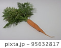 ニンジン 食べ物 フード 95632817
