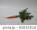 ニンジン 食べ物 フード 95632818