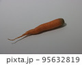 ニンジン 食べ物 フード 95632819