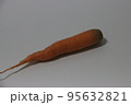 ニンジン 食べ物 フード 95632821