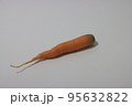 ニンジン 食べ物 フード 95632822