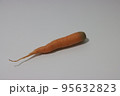 ニンジン 食べ物 フード 95632823