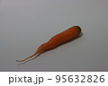 ニンジン 食べ物 フード 95632826