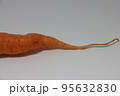 ニンジン 食べ物 フード 95632830