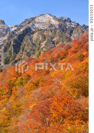 谷川岳マチガ沢の雪と紅葉のコラボレーション 95633033