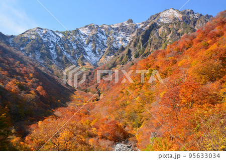 谷川岳マチガ沢の雪と紅葉のコラボレーション 95633034