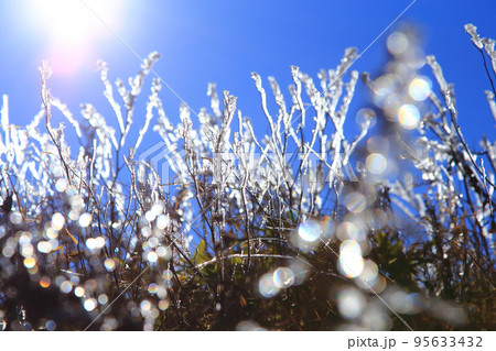 霧氷　横手山の山頂 95633432