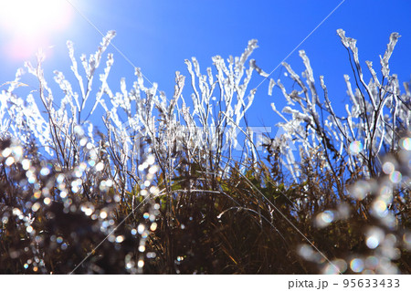 霧氷　横手山の山頂 95633433