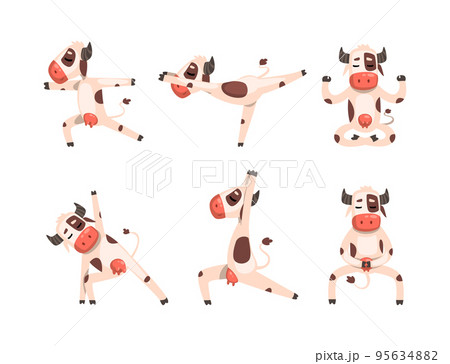 Funny Spotted Cow Character Doing Yoga Standing in Asana Vector Set 95634882