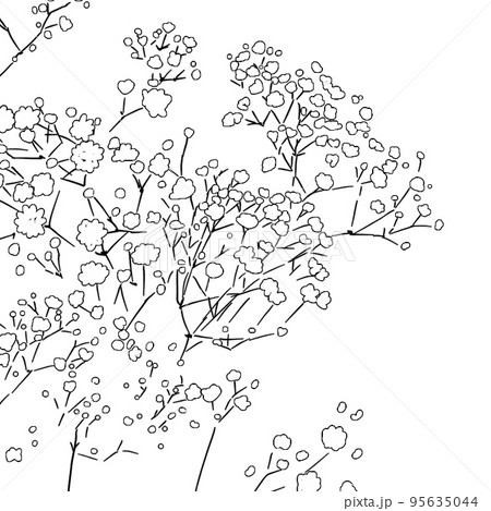 カスミ草 95635044