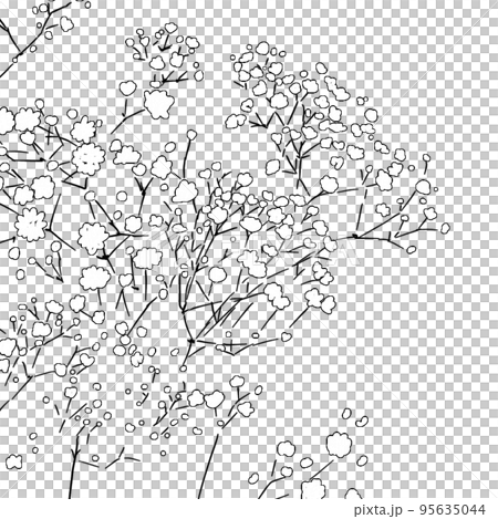 カスミ草 95635044