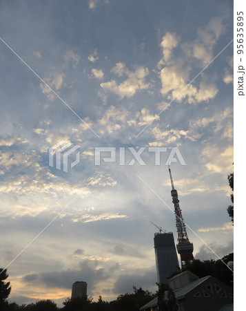 夕暮れ時の東京 95635895
