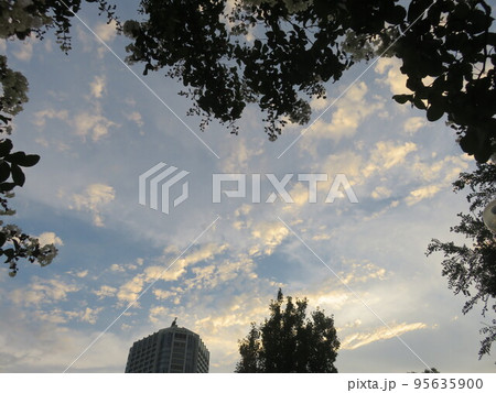 夕暮れ時の風景 夕暮れ時の風景 95635900
