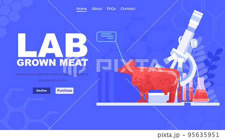 cultured red raw meat made from animal cells artificial lab grown meat production concept 95635951