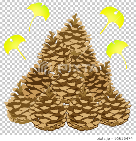 A pile of pine cones 95636474