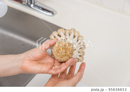 【ミドル主婦がシメジの石づきを見る】 95636653