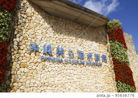 沖縄美ら海水族館/沖縄県国頭郡本部町石川 沖縄美ら海水族館/沖縄県国頭郡本部町石川 95636776