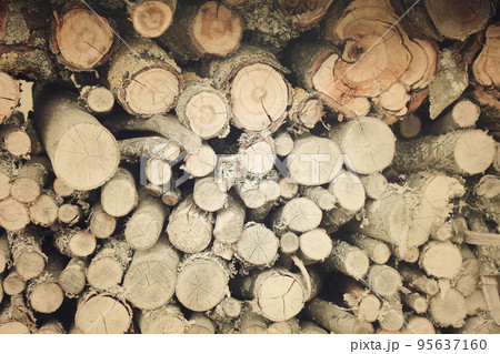 Chopped firewood on a stack Chopped firewood on a stack 95637160