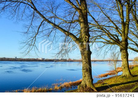 Urban landscape with bridge, modern buildings and blue sky in october. 95637241