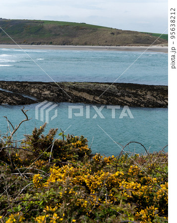 Dense coastal bushes. View of Clonakilty Bay. Sea rocks. A picturesque place in Europe, rock near body of water. The nature of Ireland. 95638212
