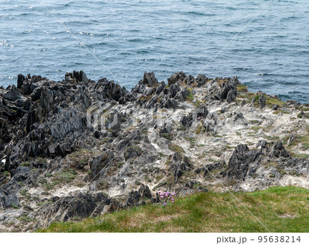 Rocks and grass on the shore on a sunny day. Seaside landscape. Picturesque coast. Black rock formation and green grass near body of water. 95638214