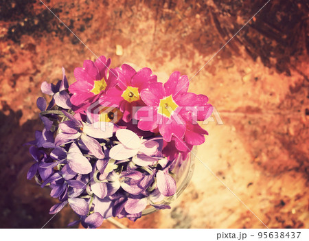 Spring bouquet of flowers Spring bouquet of flowers 95638437