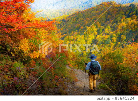 会津朝日岳登山道にて紅葉狩り 95641524