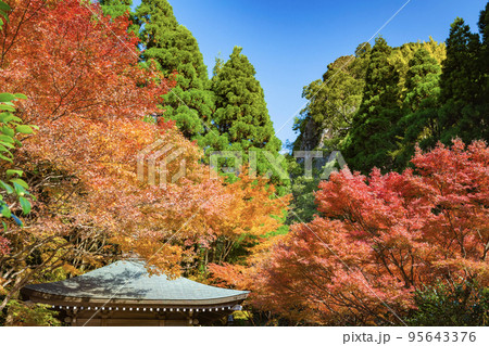鎮国寺頂峯院 大師堂の秋の風景 95643376