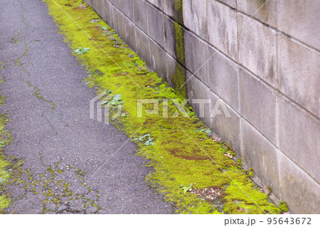 土地　宅地　境界　不動産　イメージ	 95643672