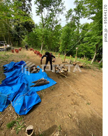 【千葉県佐倉市】学校林で給食に出すタケノコ掘り 95644170
