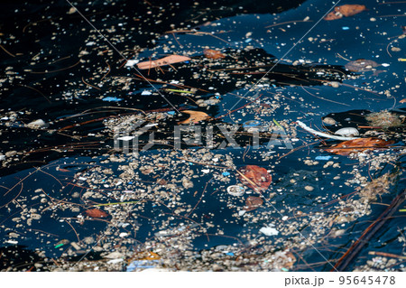 小笠原の海に浮かぶプラスチックごみと軽石 小笠原の海に浮かぶプラスチックごみと軽石 95645478