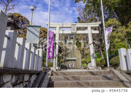 藤沢市片瀬 上諏訪神社の参道 藤沢市片瀬 上諏訪神社の参道 95645756
