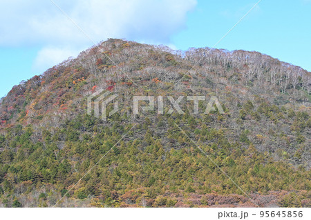 紅葉の山（栃木県那須高原） 95645856