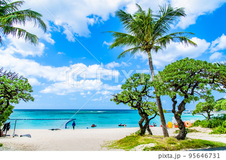 沖縄の青い海 ~ブセナ海中公園~ 沖縄の青い海 ~ブセナ海中公園~ 95646731