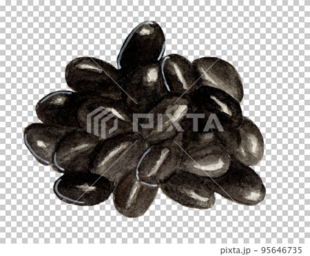 hand drawn watercolor black bean stew illustration hand drawn watercolor black bean stew illustration 95646735