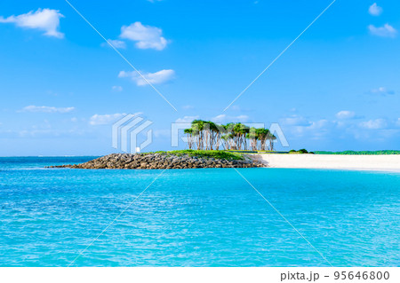 沖縄の青い海 ~ダイヤモンドビーチ~ 沖縄の青い海 ~ダイヤモンドビーチ~ 95646800