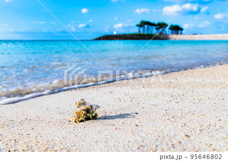 沖縄の青い海 ~ダイヤモンドビーチ~ 沖縄の青い海 ~ダイヤモンドビーチ~ 95646802
